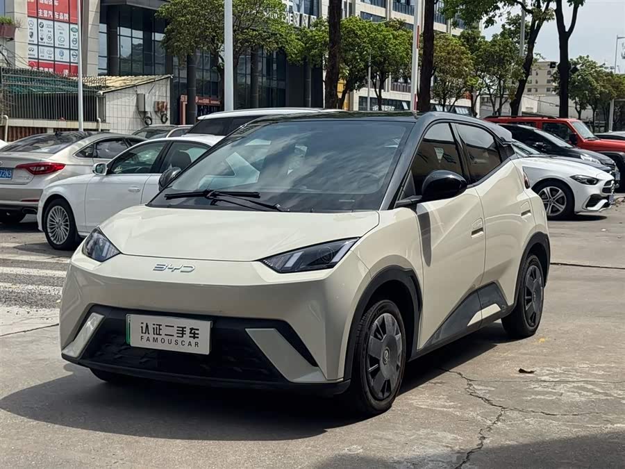 Seagull 2024 Glory Edition 305km Vitality Edition