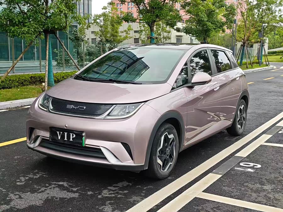 Dolphin 2021 405km Freedom Edition