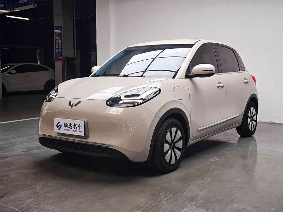 Wuling Bingo 2024 333km Enjoyment Version