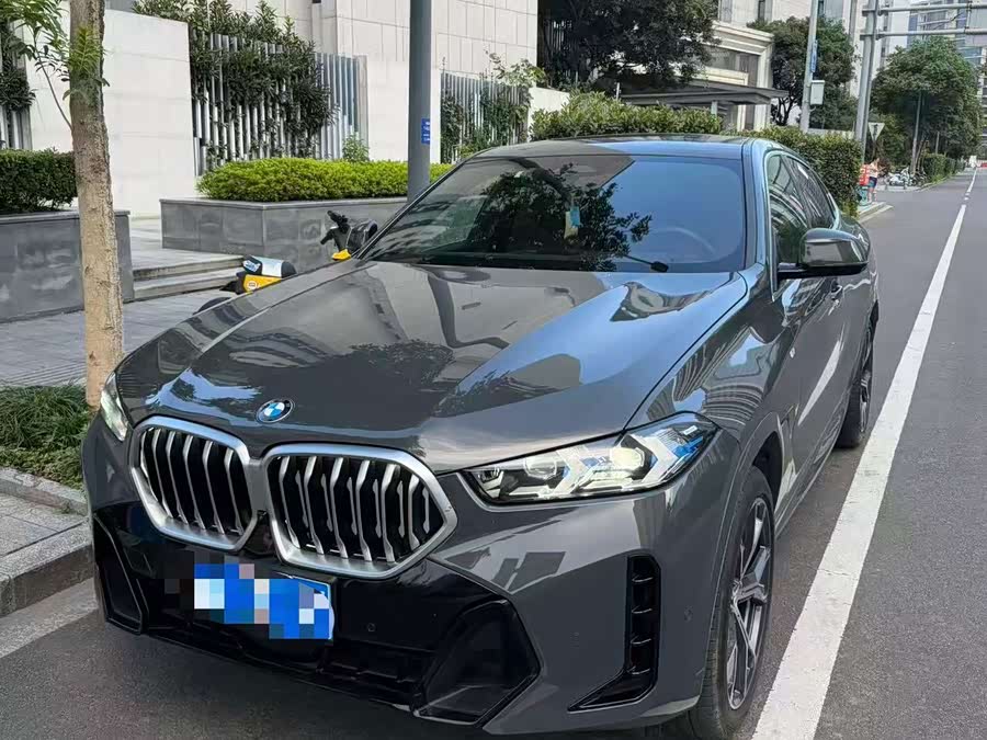 BMW X6 2023 xDrive40i Luxury M Sport Package