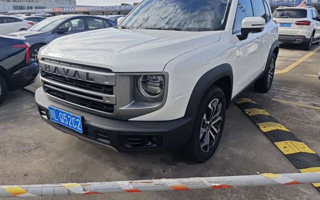 Haval Big Dog 2022 1.5T DCT Two-Wheel Drive Labrador Edition