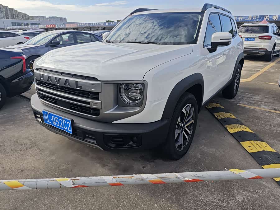 Haval Big Dog 2022 1.5T DCT Two-Wheel Drive Labrador Edition