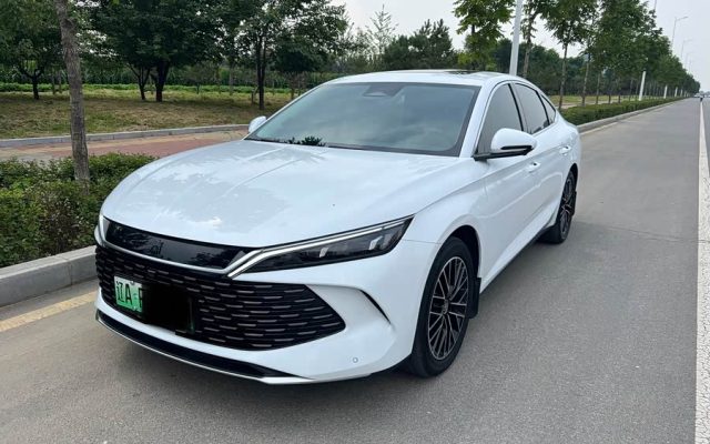 Qin L 2024 DM-i 120KM Excellence