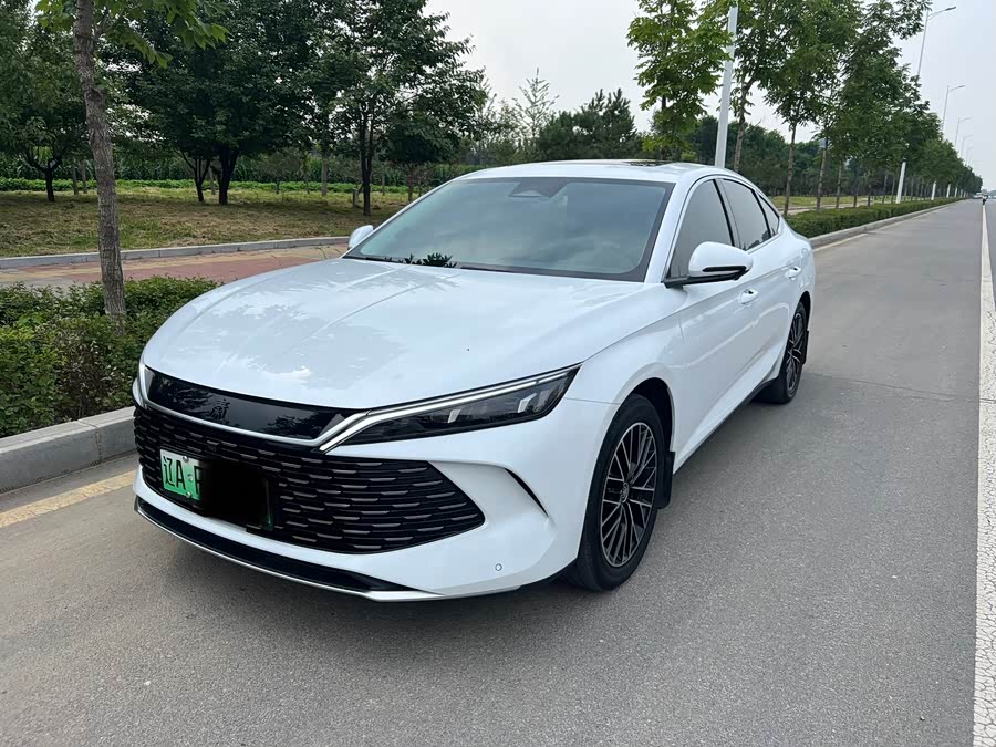 Qin L 2024 DM-i 120KM Excellence