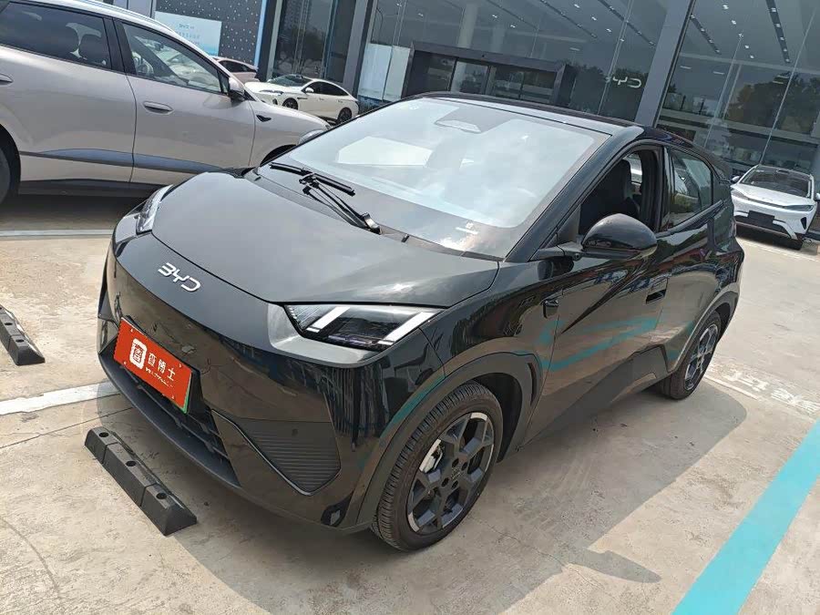 Seagull 2025 Smart Drive 305km Freedom
