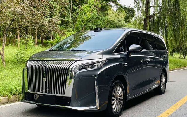Weipai Gaoshan 2025 4WD Gaoshan 8