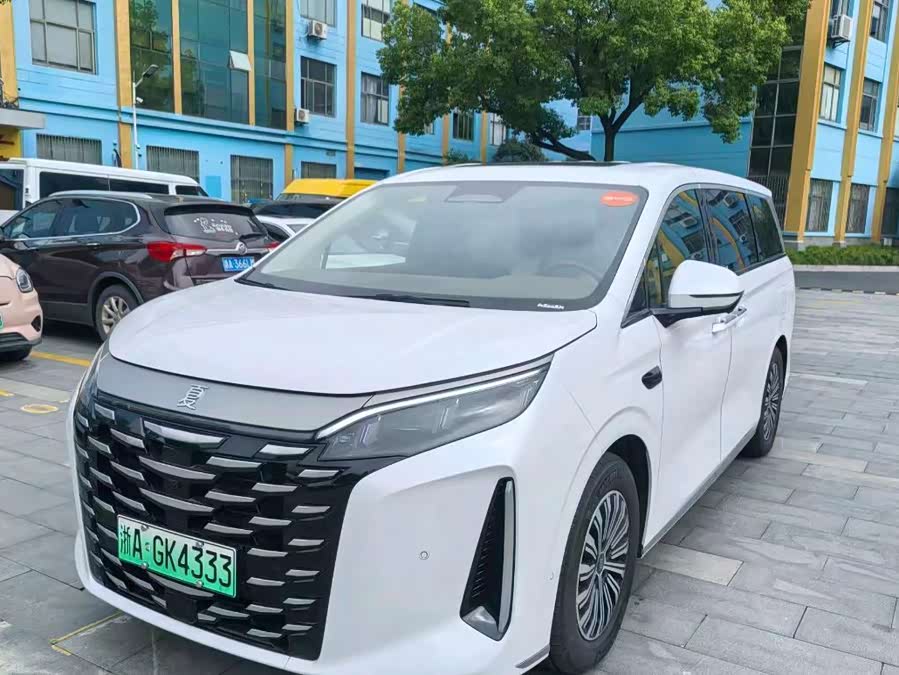 2025 DM-i 1.5T 180km Beyond