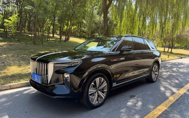 Hongqi E-HS9 2021 460km Flag Enjoy 6 Seats