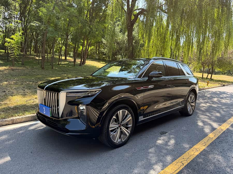 Hongqi E-HS9 2021 460km Flag Enjoy 6 Seats