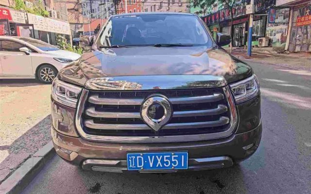 Pao 2021 2.0T Passenger Global Edition Auto Diesel 4WD Comfort
