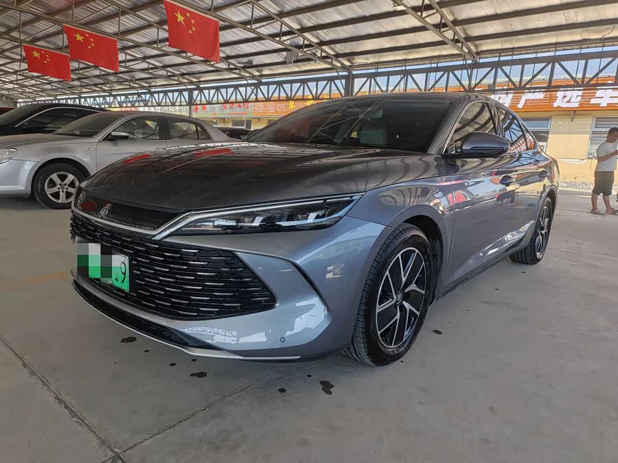 Qin L 2024 DM-i 80KM Super