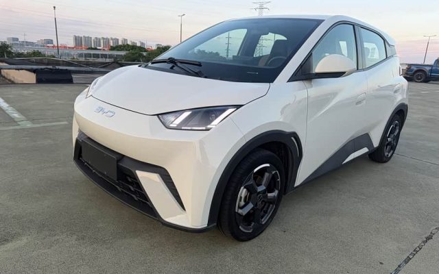 Seagull 2024 Glory Edition 405km Flying Edition