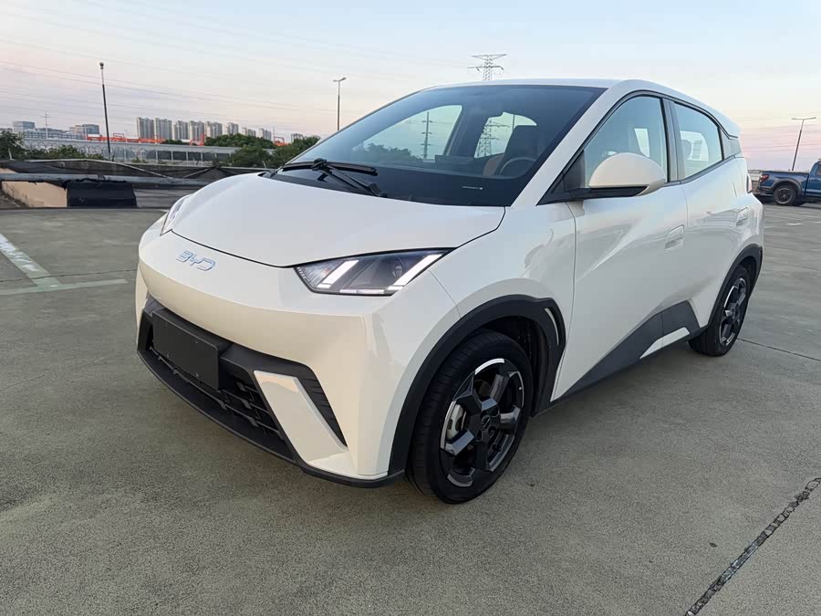 Seagull 2024 Glory Edition 405km Flying Edition