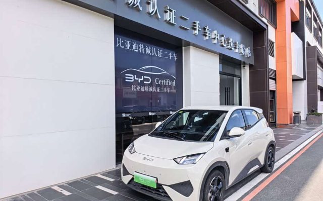 Seagull 2025 Smart Drive 305km Freedom