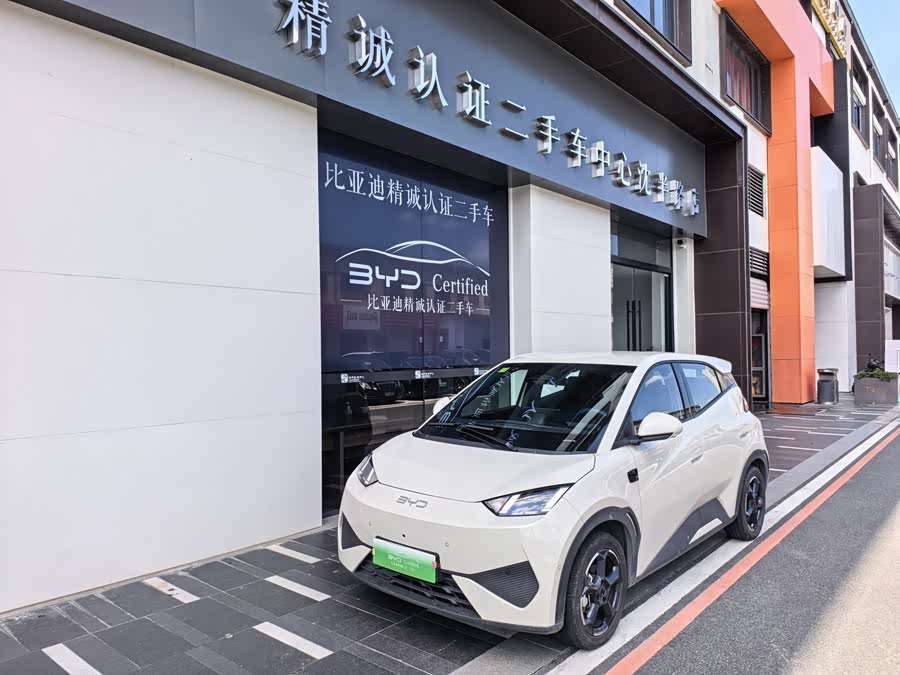 Seagull 2025 Smart Drive 305km Freedom