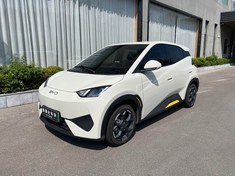 Seagull 2025 Smart Driving 405km Free Version