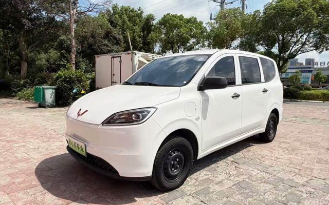 Wuling Hongguang New Energy 2024 Pure Electric Version 300KM Standard Type