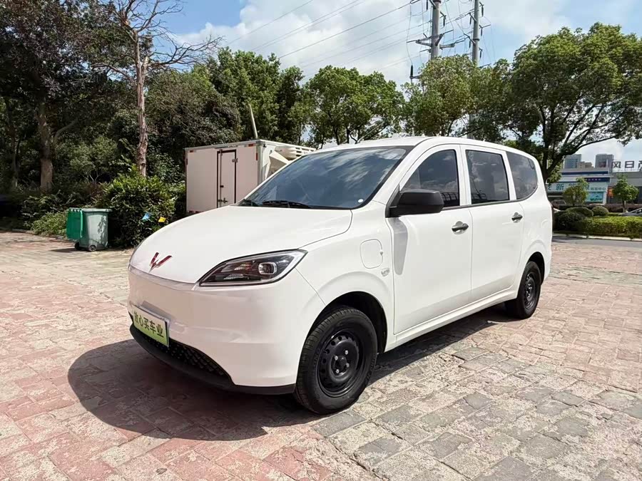 Wuling Hongguang New Energy 2024 Pure Electric Version 300KM Standard Type